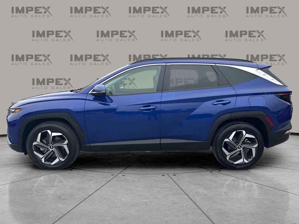 Used 2023 Hyundai Tucson Limited image 2