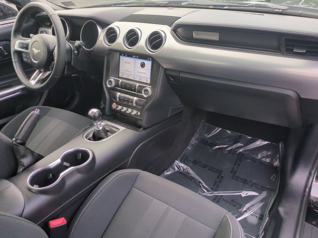 Used 2019 Ford Mustang Coupe w/ Equipment Group 101A RWD image 20