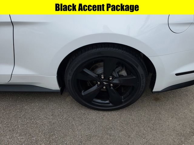 Used 2022 Ford Mustang Coupe w/ Black Accent Package image 7
