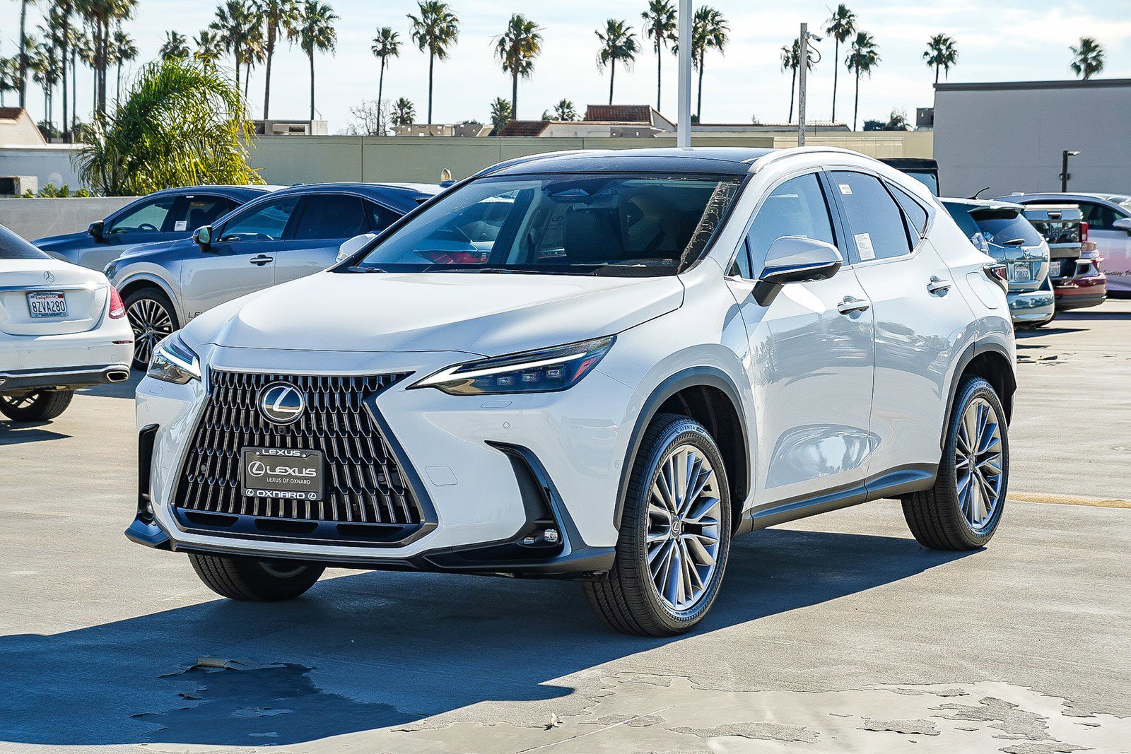 New 2026 Lexus NX 350 AWD w/ Luxury Package image 3