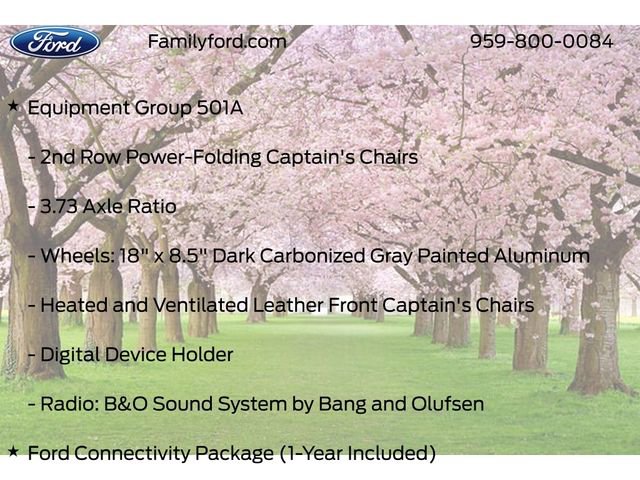 New 2026 Ford Expedition Tremor image 10