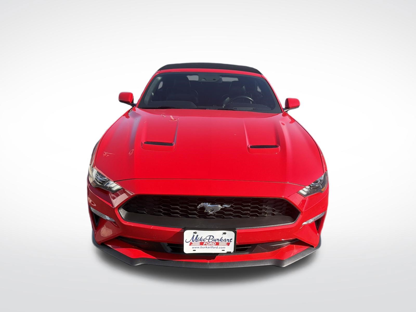 Used 2019 Ford Mustang Premium w/ Equipment Group 201A RWD image 4