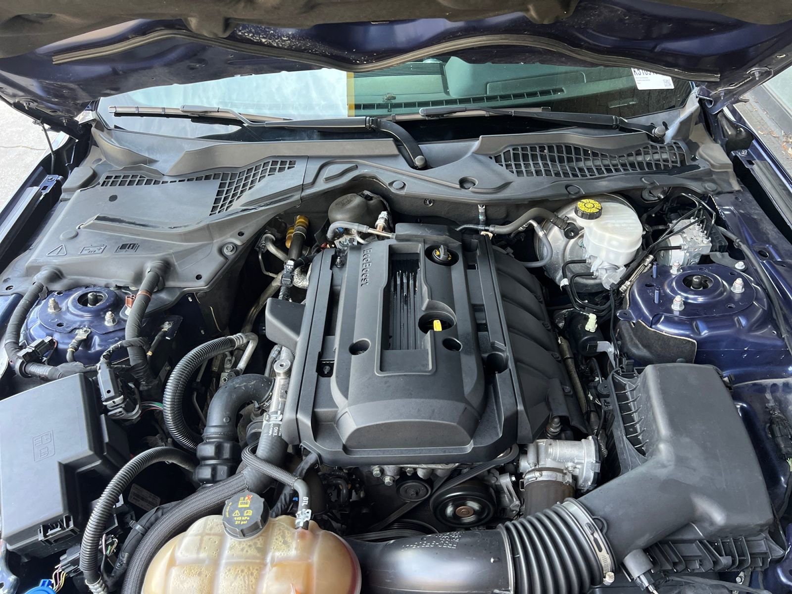 Used 2019 Ford Mustang Coupe w/ Wheel & Stripe Package RWD image 17