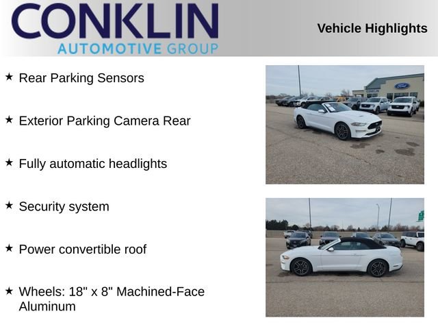 Used 2022 Ford Mustang Premium image 2