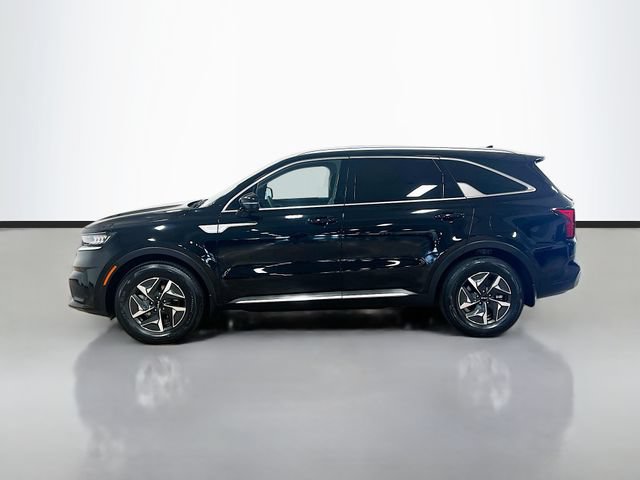 Certified 2023 Kia Sorento EX FWD image 4