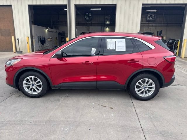 Used 2022 Ford Escape SE w/ Convenience Package FWD image 4
