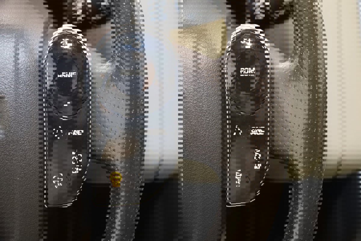 Used 2020 Land Rover Range Rover Sport SE image 37