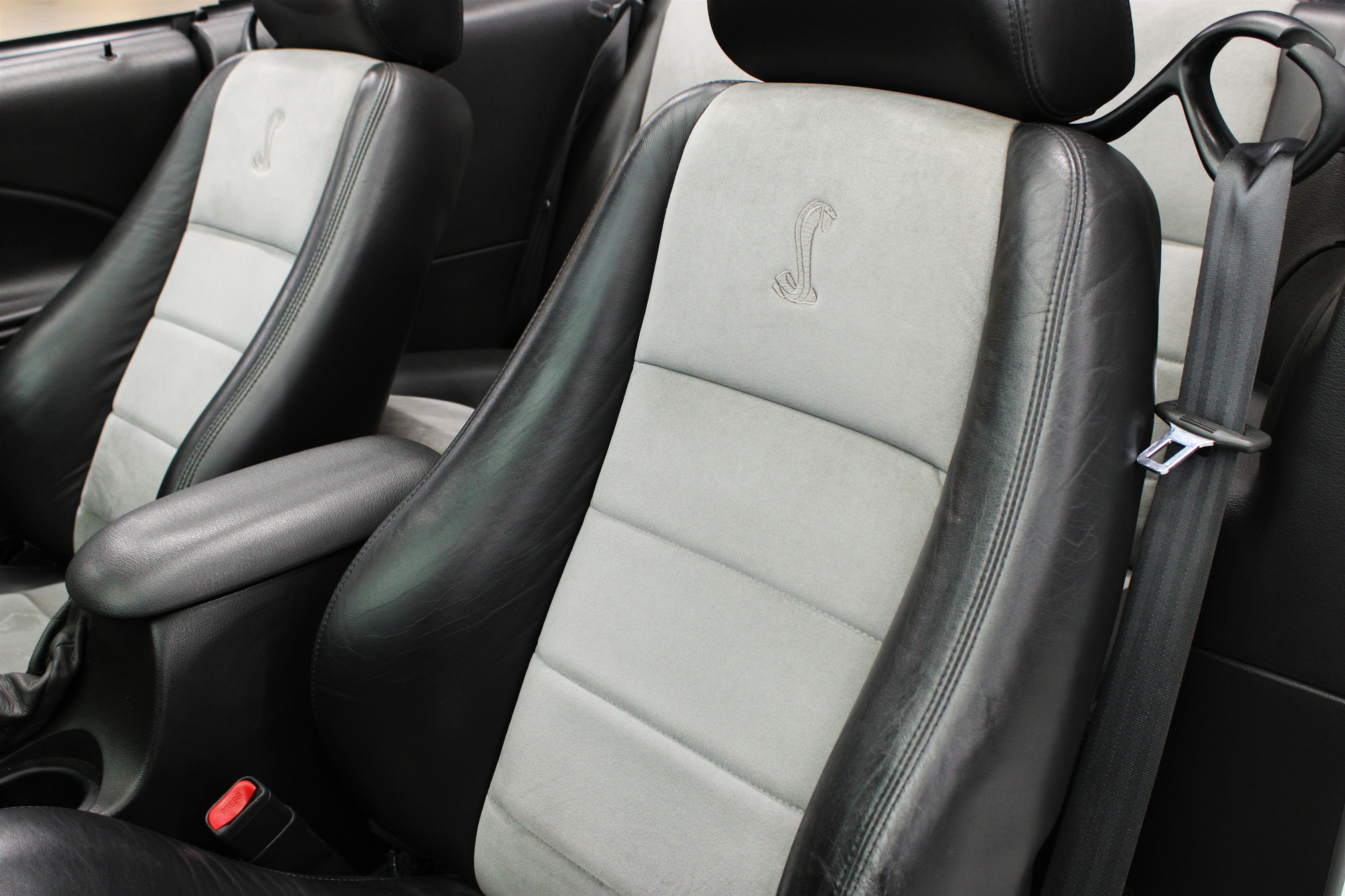 Used 2004 Ford Mustang Cobra RWD image 5