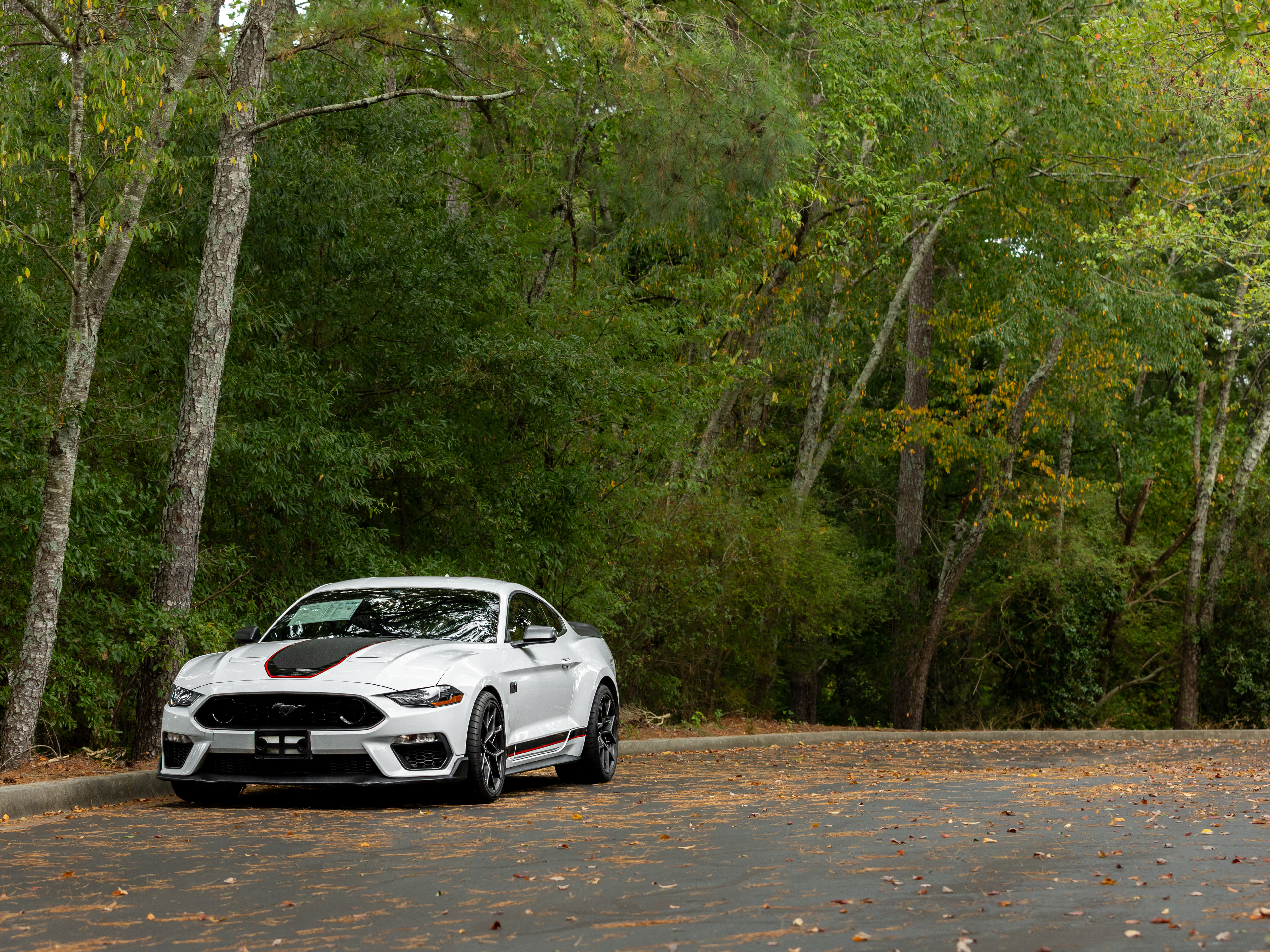 Used 2021 Ford Mustang Mach 1 w/ Mach 1 Handling Package image 40