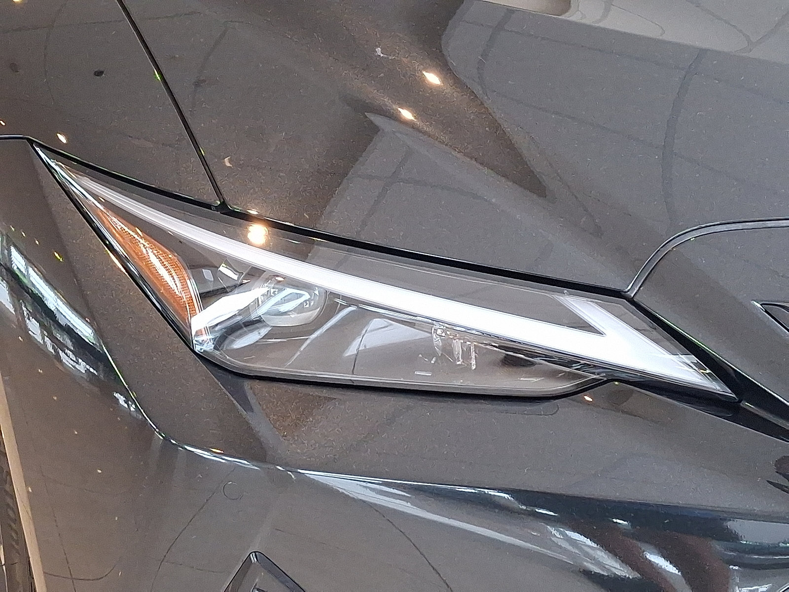 Used 2025 Lexus IS 350 F Sport AWD/4WD image 9