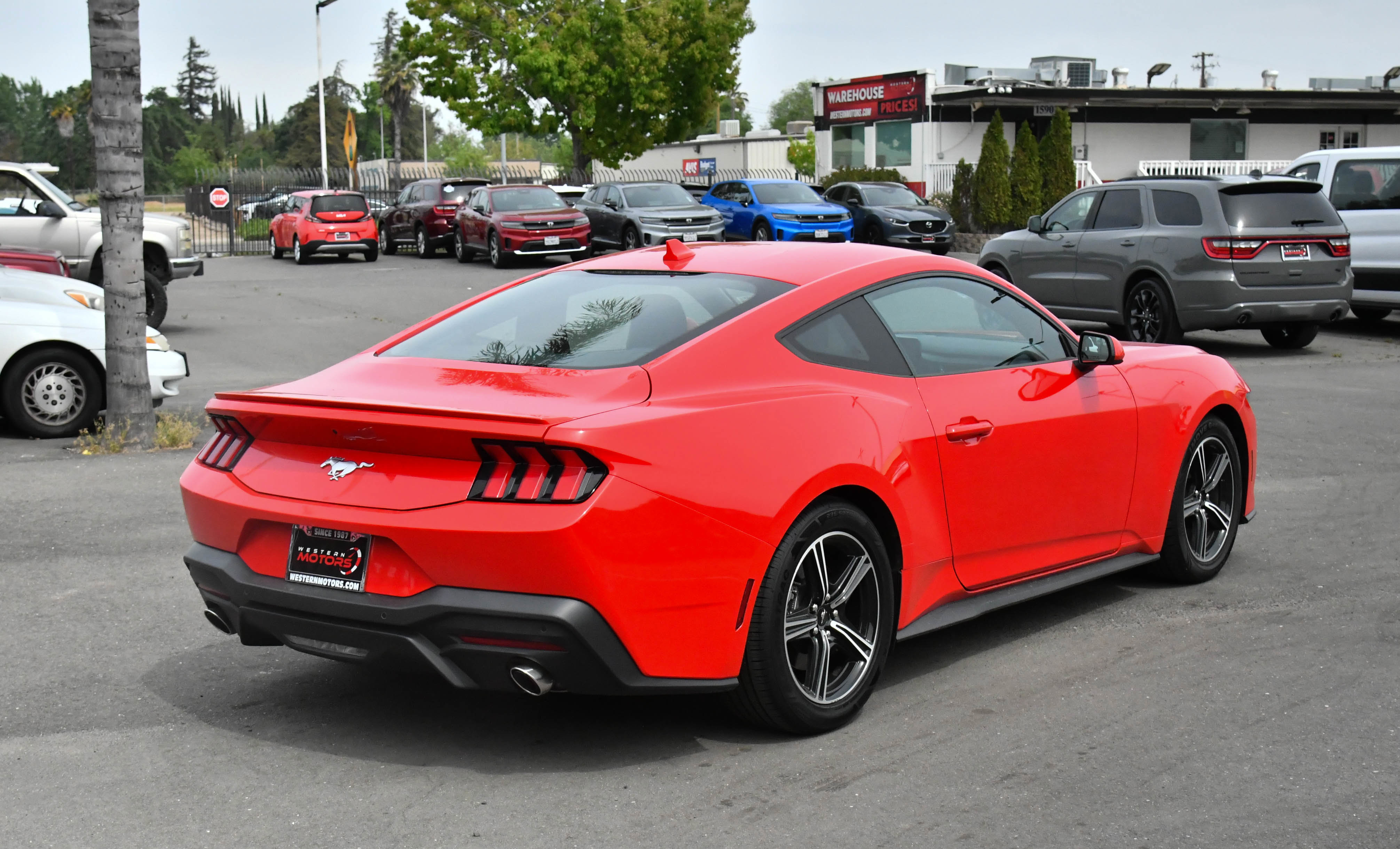 Used 2024 Ford Mustang Premium RWD image 8