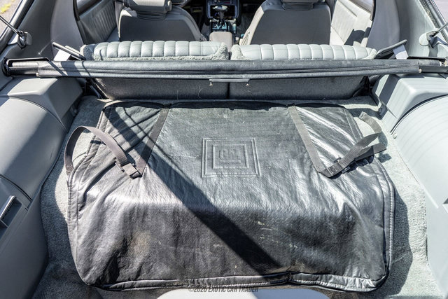 Used 1989 Pontiac Firebird Trans Am RWD image 88