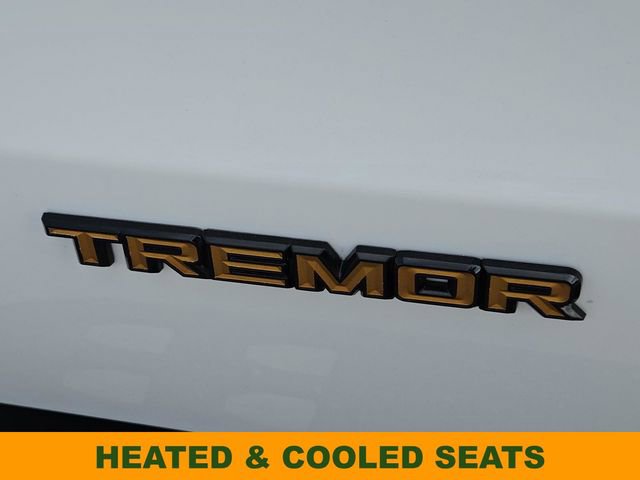 New 2026 Ford Expedition Tremor image 13