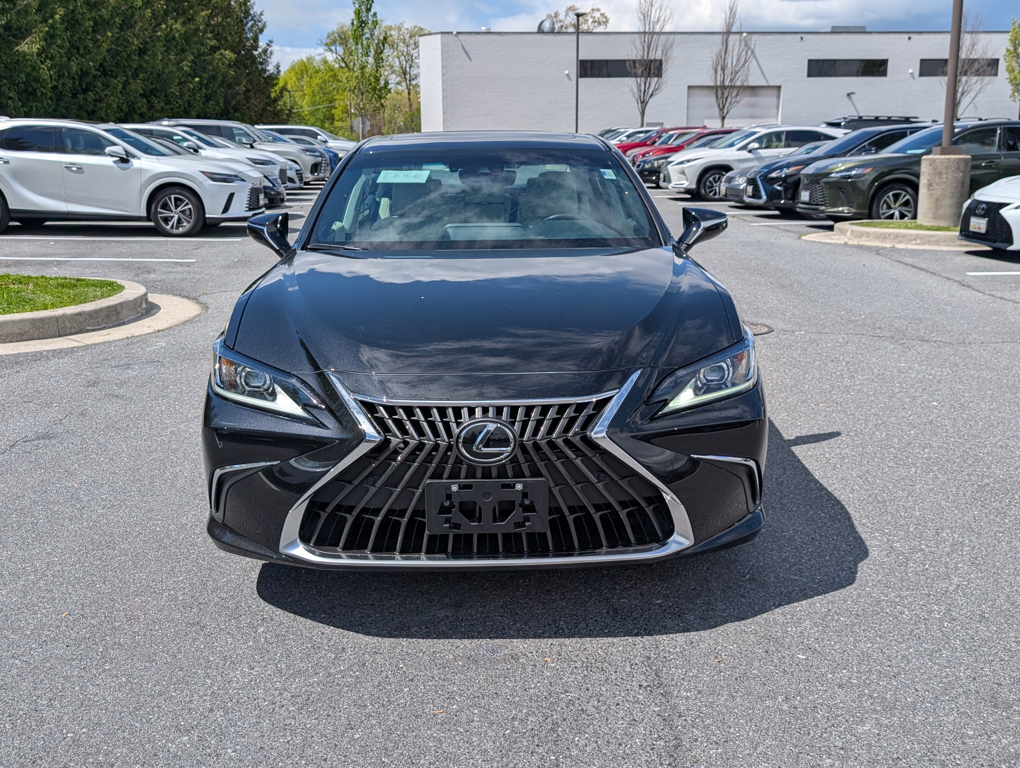 Used 2025 Lexus ES 300h w/ Premium Package image 6