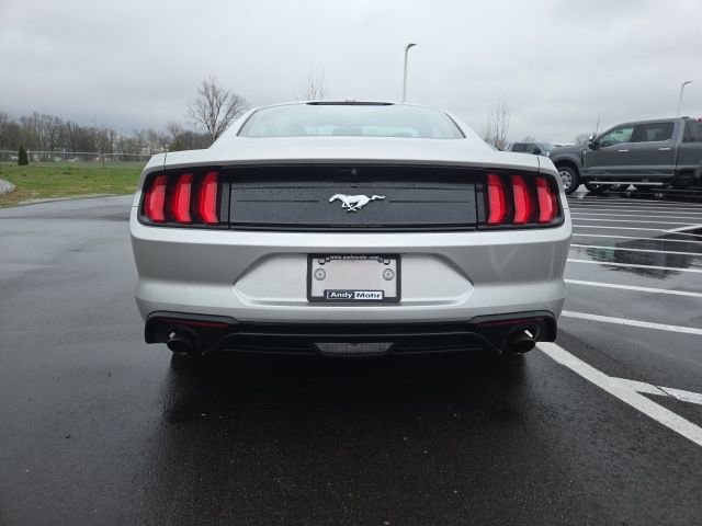 Used 2019 Ford Mustang Coupe image 9