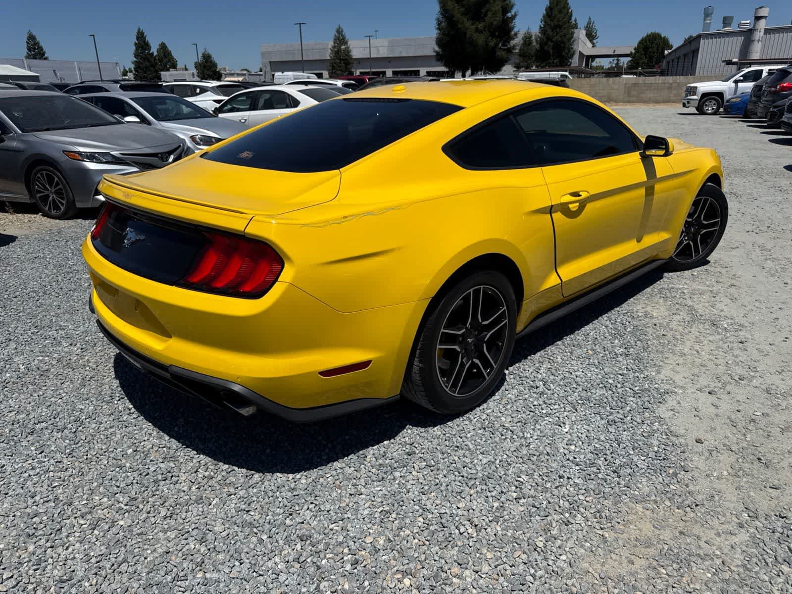 Used 2018 Ford Mustang Premium w/ Equipment Group 201A RWD image 5