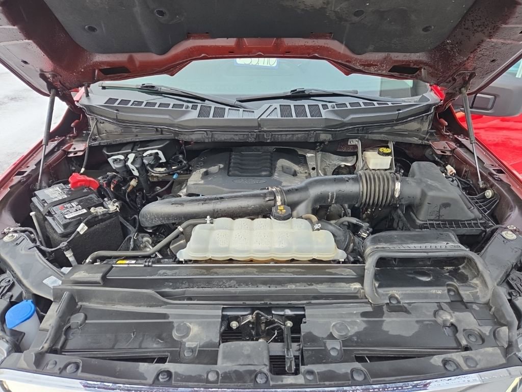 Used 2023 Ford F150 XLT image 35