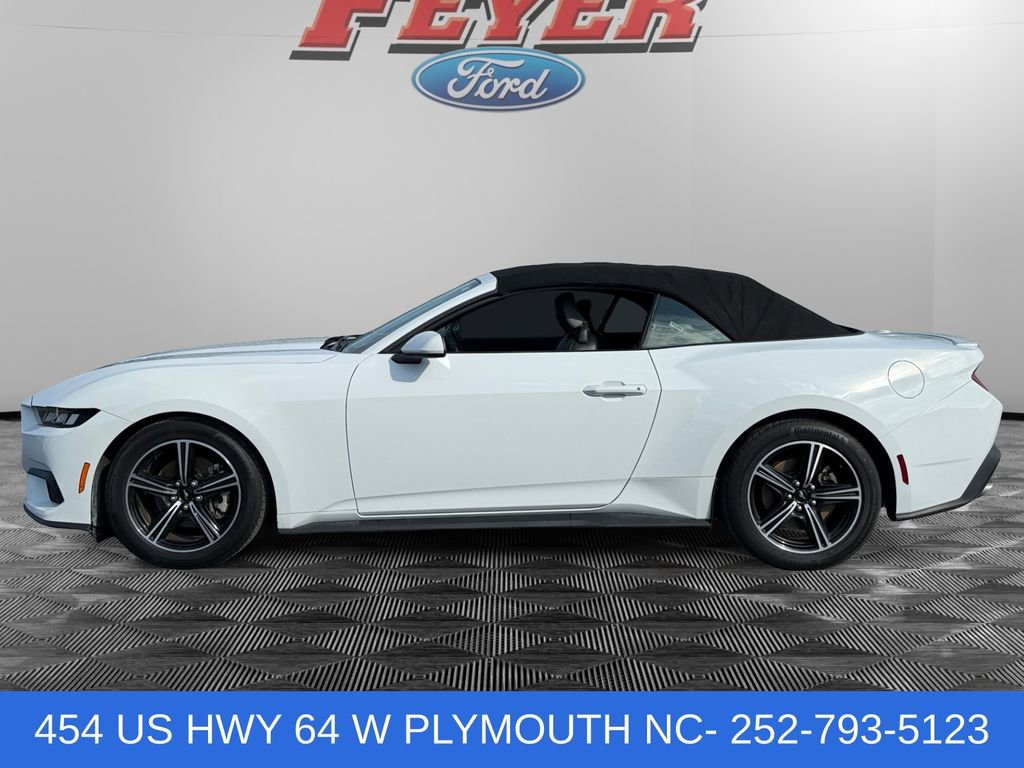 Used 2025 Ford Mustang Premium RWD image 2