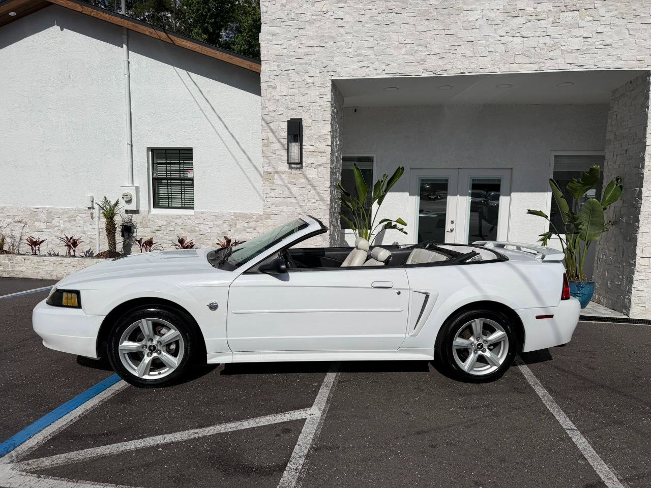 Used 2004 Ford Mustang Convertible RWD image 2