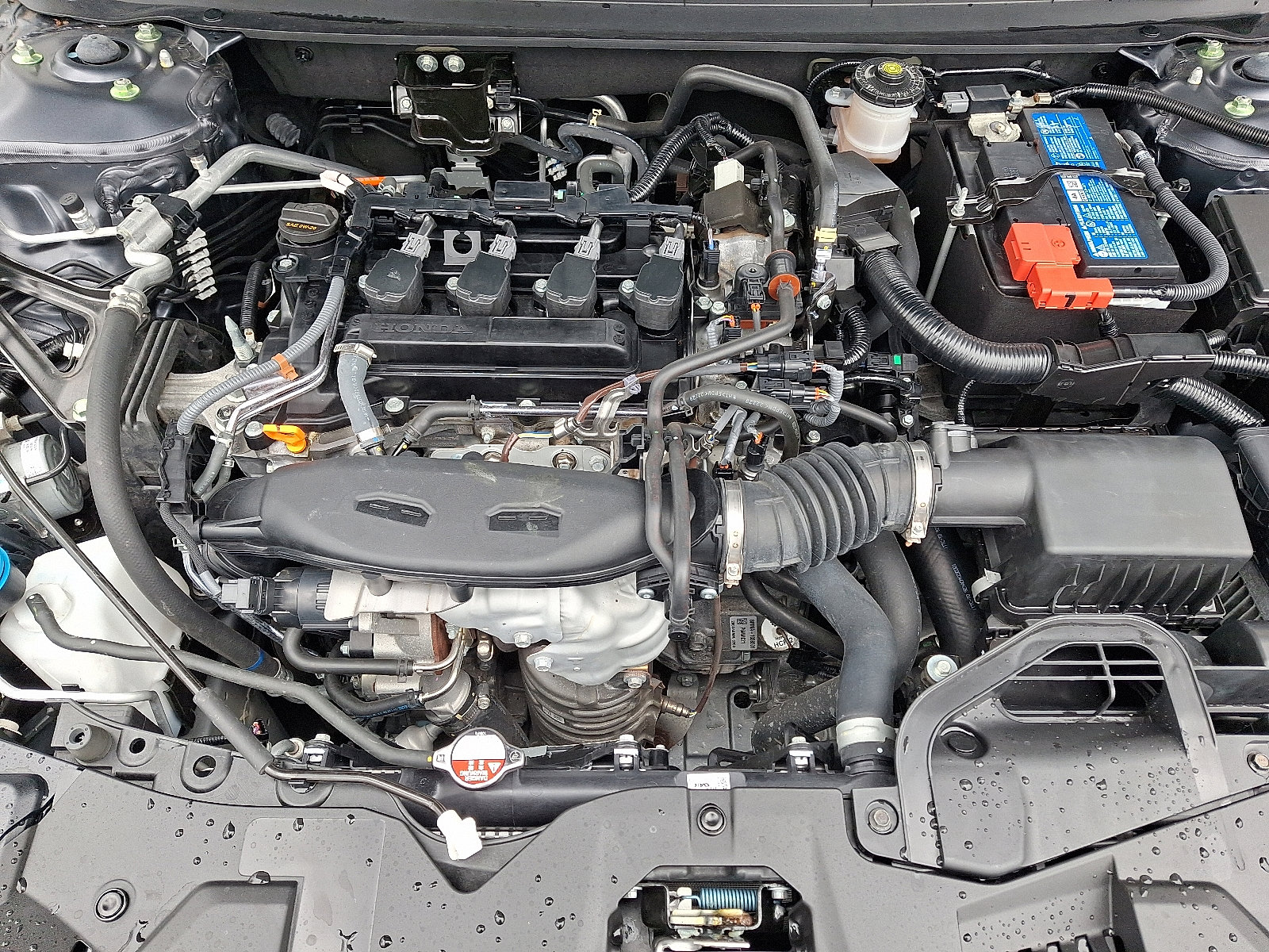 Certified 2023 Honda Accord EX image 29