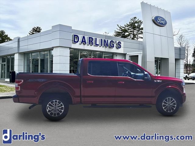 Used 2019 Ford F150 XLT w/ Equipment Group 302A Luxury AWD/4WD image 4