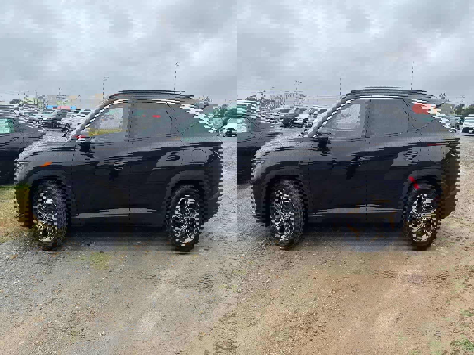 Used 2024 Hyundai Tucson Limited image 8