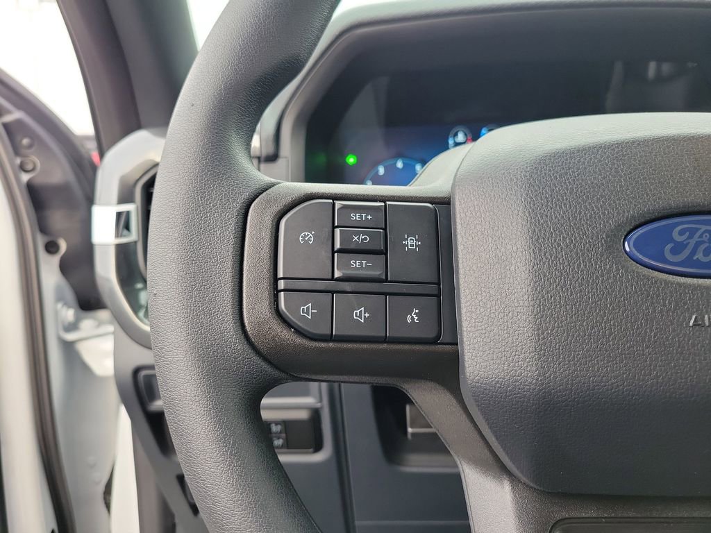 New 2025 Ford F150 STX w/ LOBO Package image 23