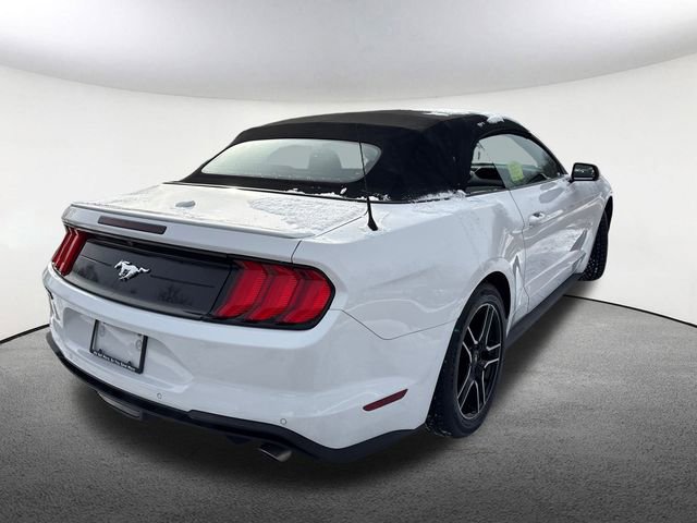 Used 2021 Ford Mustang Premium image 14