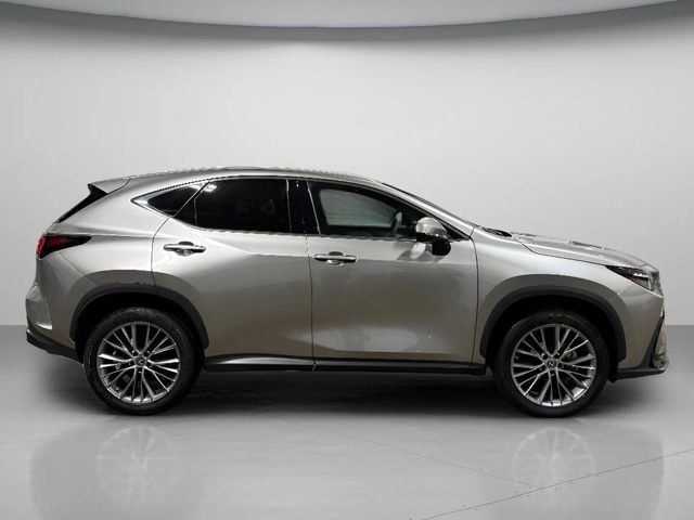 Used 2023 Lexus NX 350 AWD image 2
