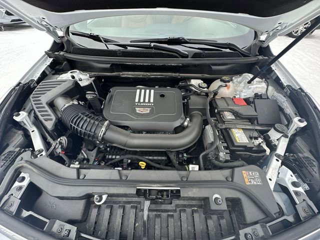 Used 2025 Cadillac XT5 Premium Luxury image 33