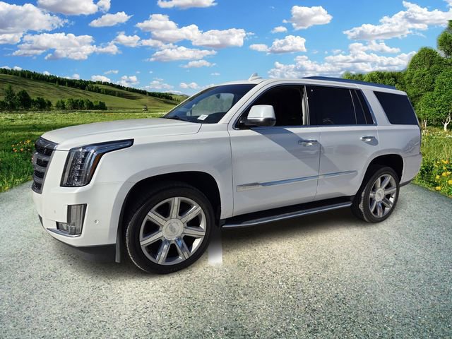 Used 2019 Cadillac Escalade Luxury image 3