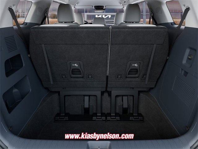 New 2026 Kia Carnival EX image 19