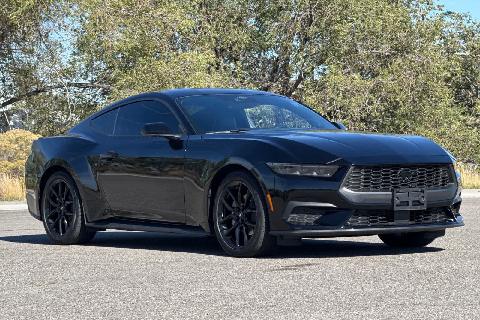 Certified 2024 Ford Mustang Premium w/ Mustang Nite Pony Package RWD image 9