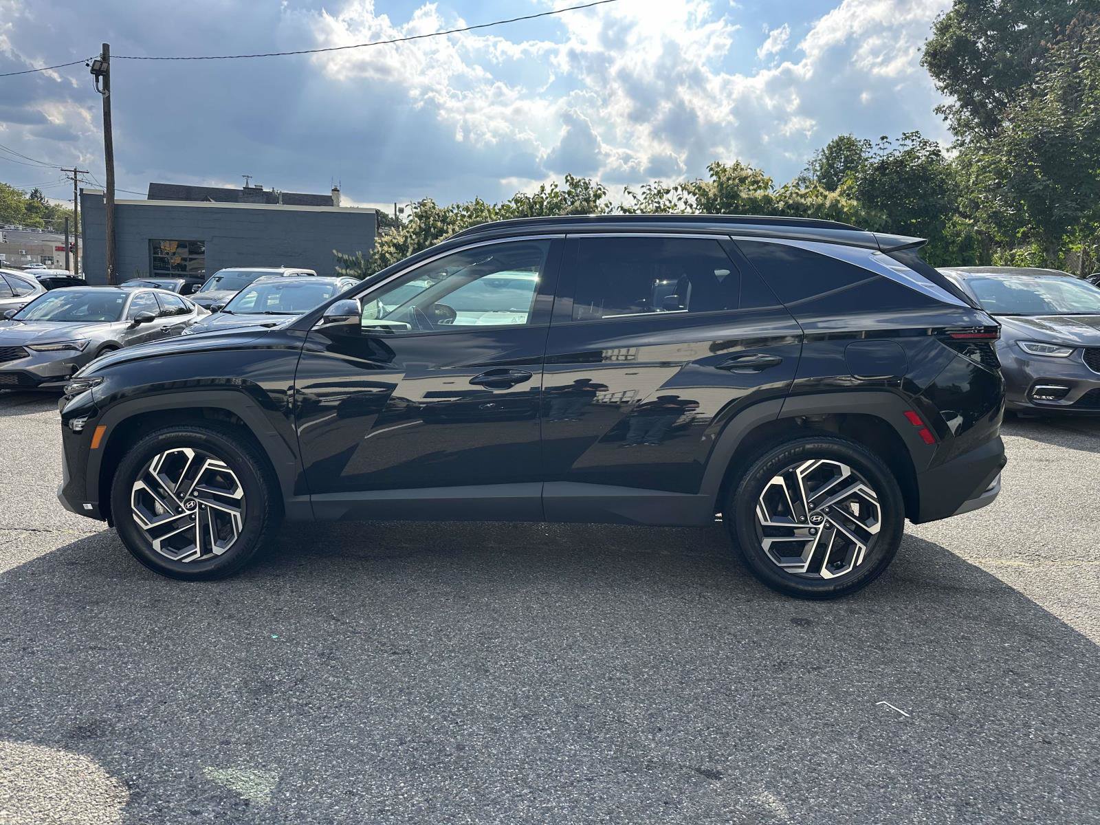 Used 2025 Hyundai Tucson Limited AWD/4WD image 6