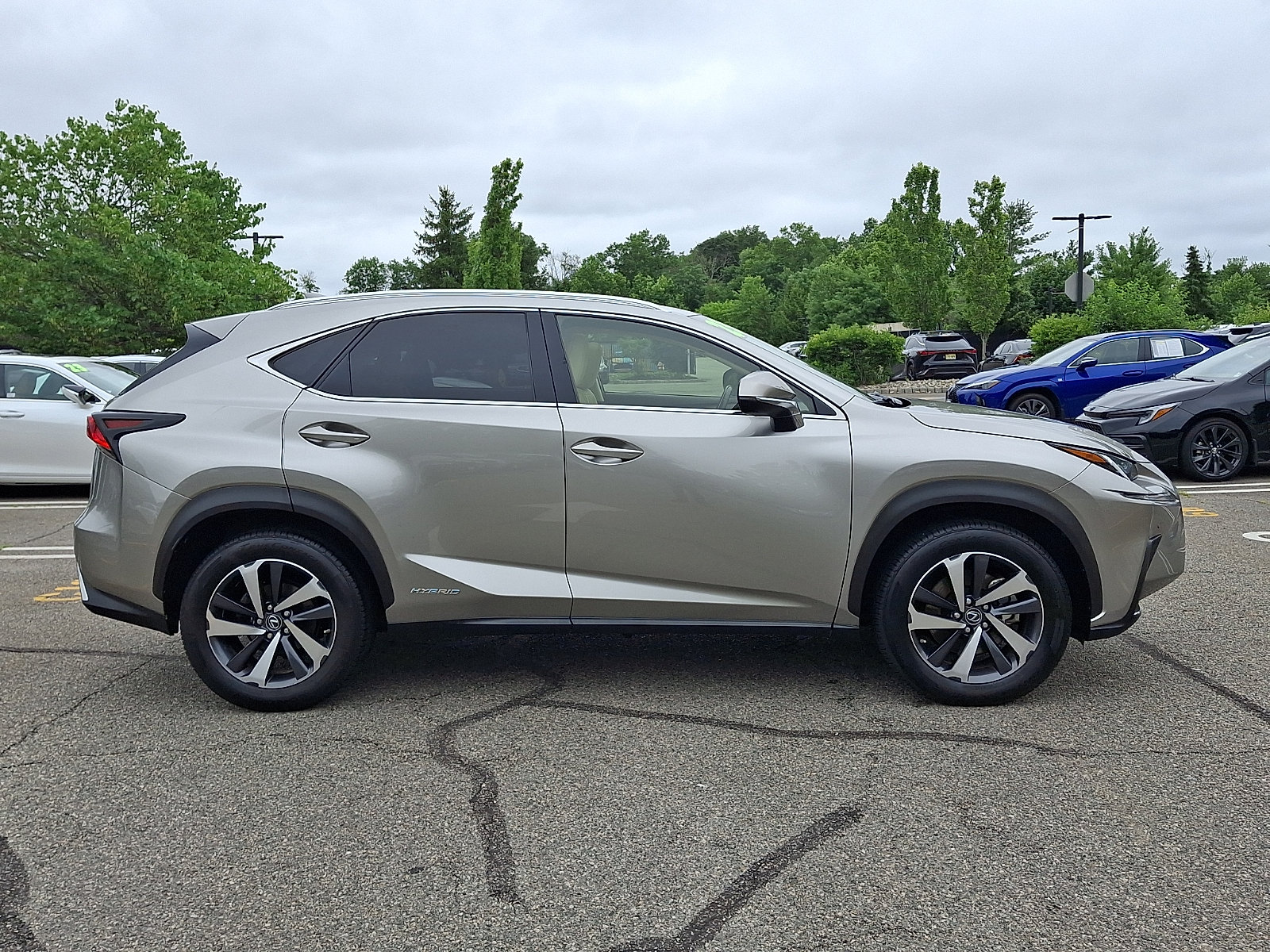 Used 2021 Lexus NX 300h AWD w/ Premium Package image 7