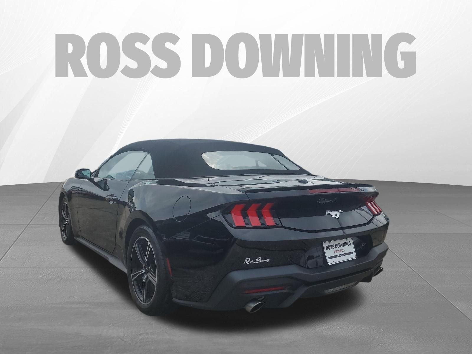 Used 2025 Ford Mustang Premium image 6