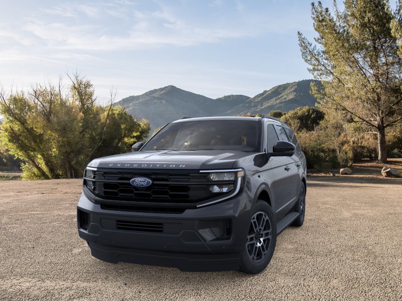 New 2025 Ford Expedition Active image 2