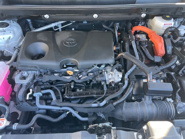 Certified 2025 Toyota RAV4 LE AWD/4WD image 31