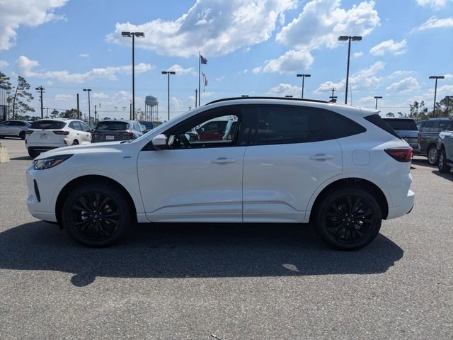 Used 2024 Ford Escape ST-Line Elite image 7