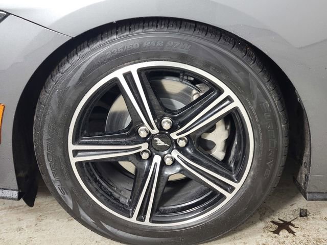 Certified 2024 Ford Mustang Premium image 10