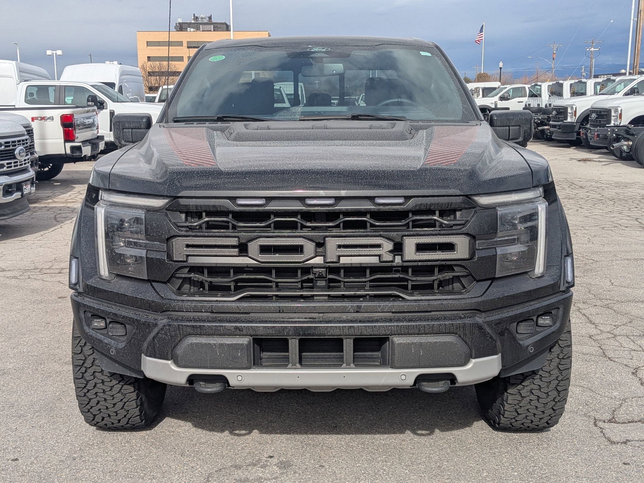 Used 2025 Ford F150 Raptor image 12