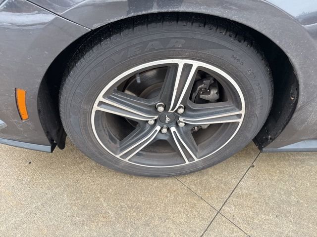 Used 2024 Ford Mustang Premium image 11