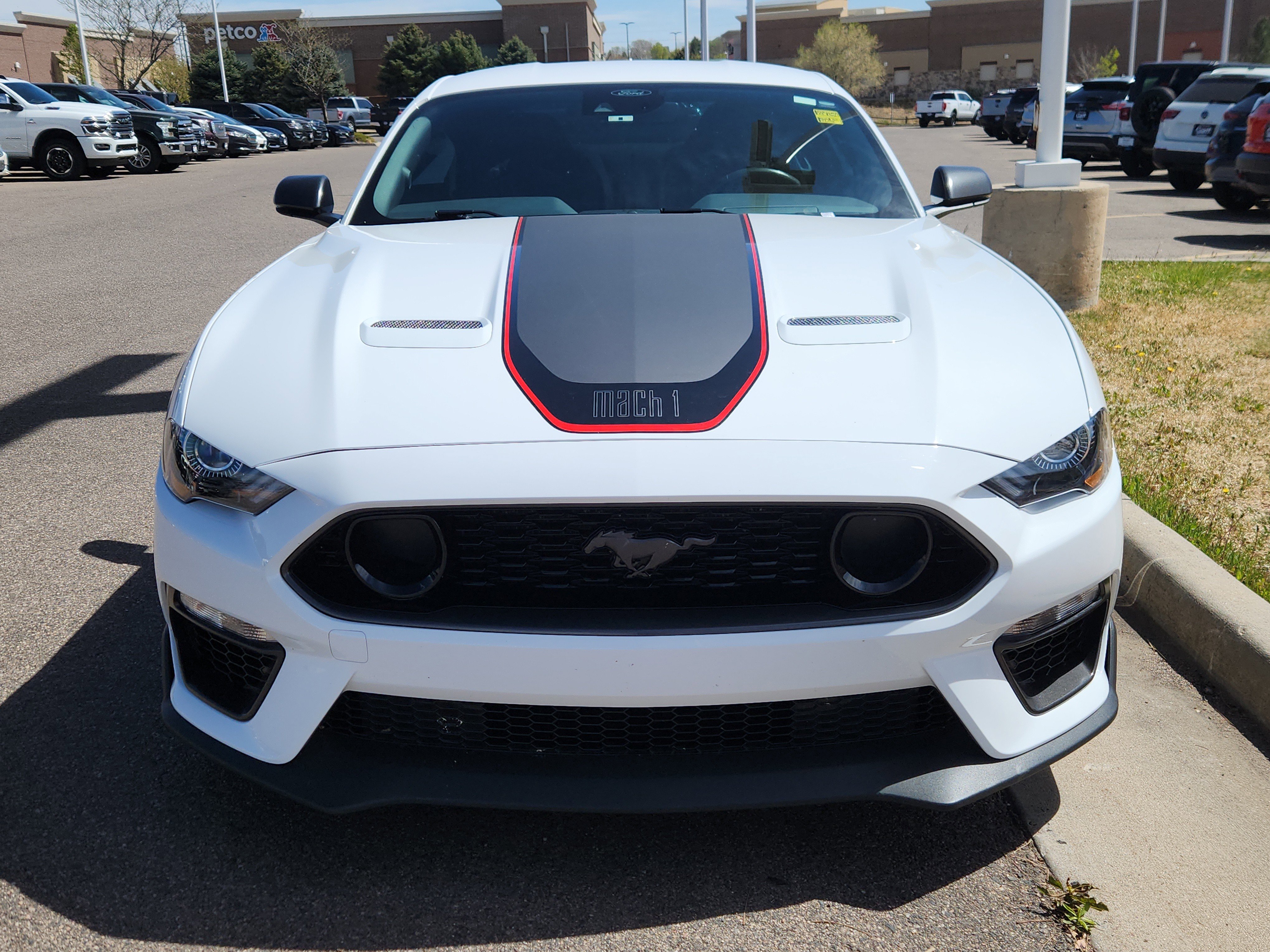 Used 2023 Ford Mustang Mach 1 image 11