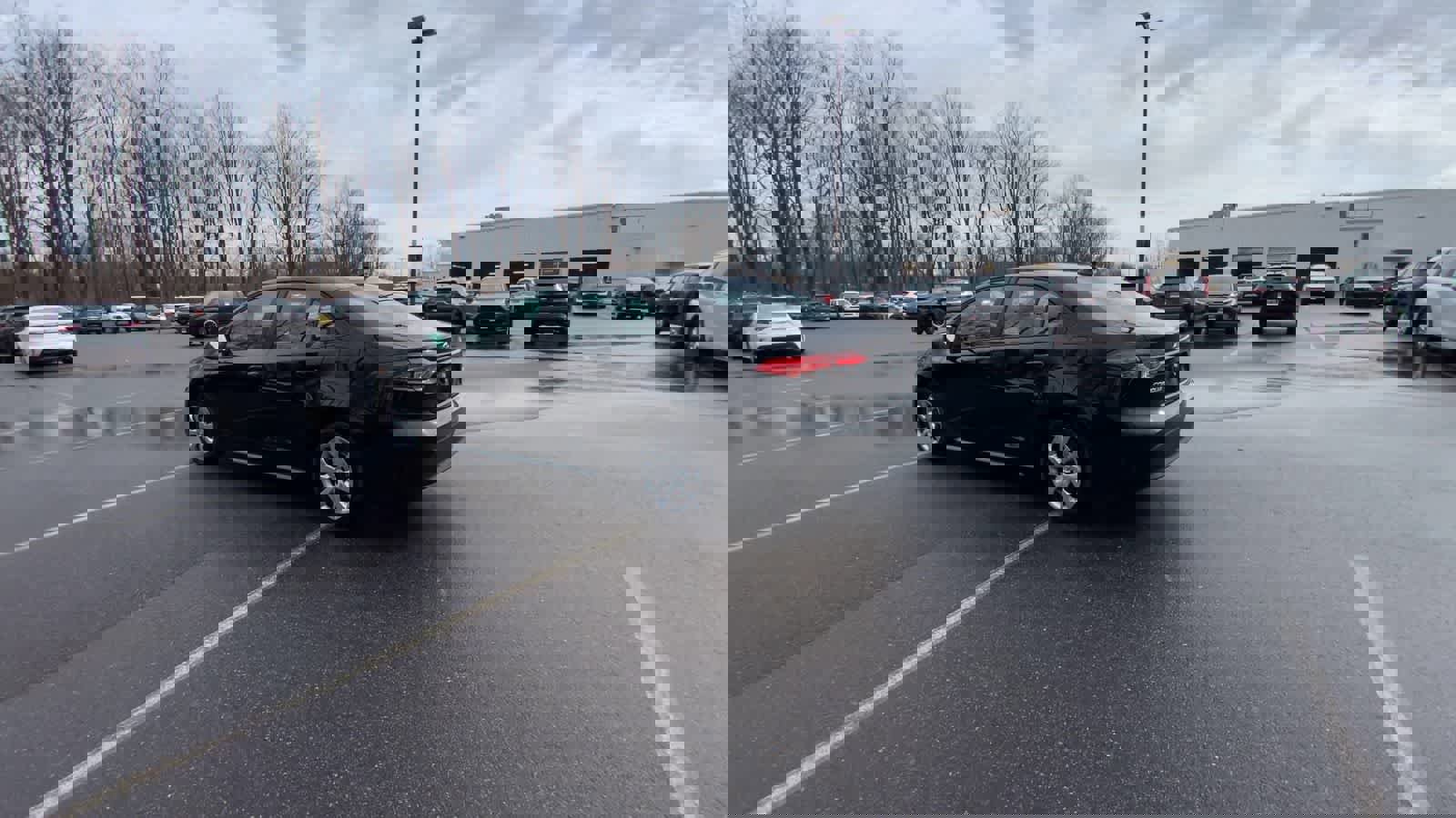 Used 2025 Toyota Corolla LE image 11