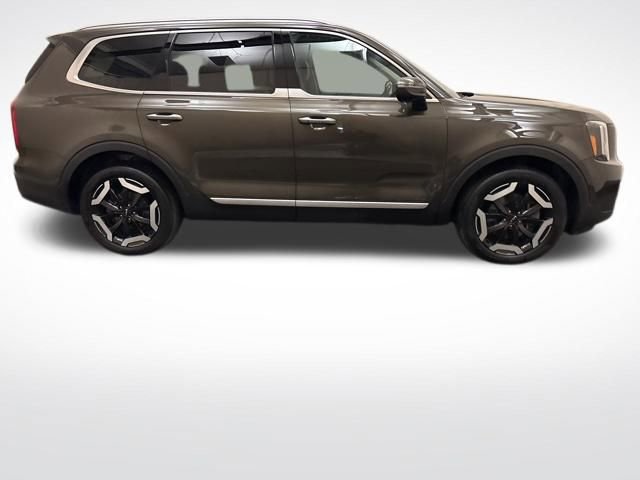 Certified 2024 Kia Telluride S image 4