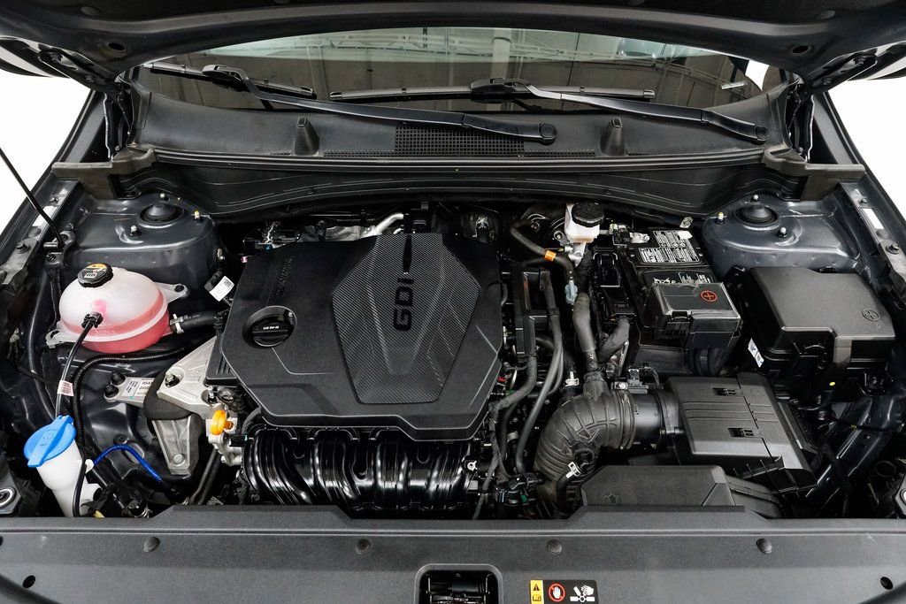 Used 2024 Kia Sportage X-Line image 3