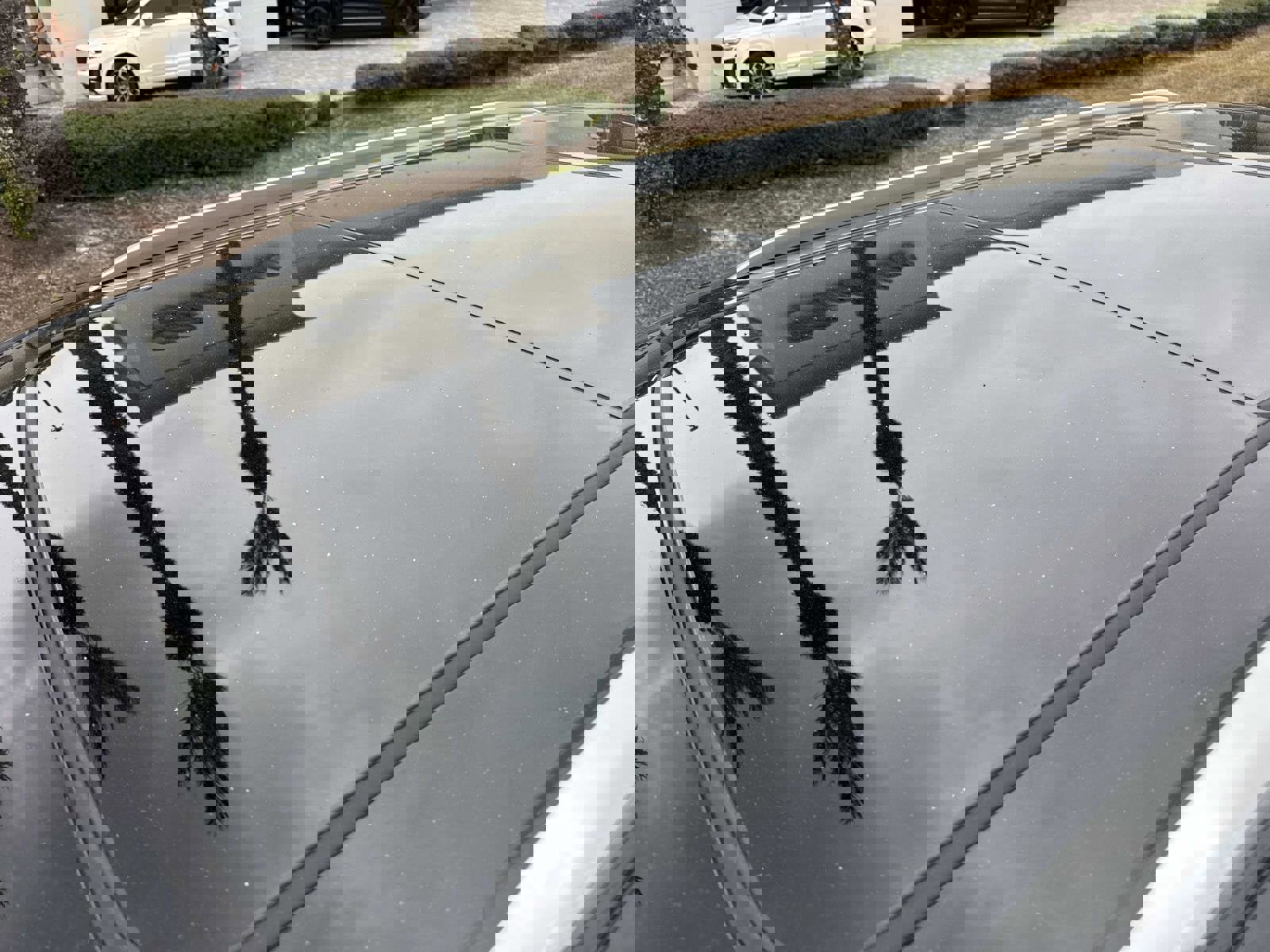 Used 2026 Cadillac Vistiq Luxury image 11