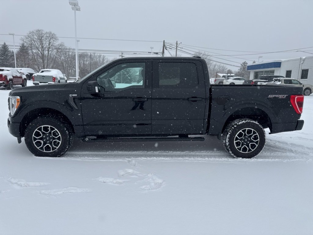 Used 2023 Ford F150 XLT w/ Equipment Group 302A High image 4