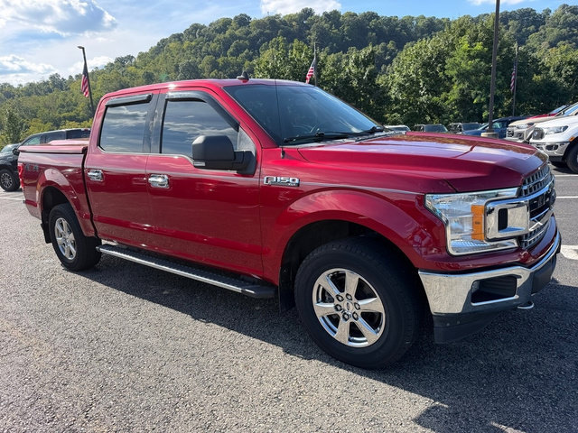 Used 2019 Ford F150 XLT w/ Equipment Group 302A Luxury AWD/4WD image 11