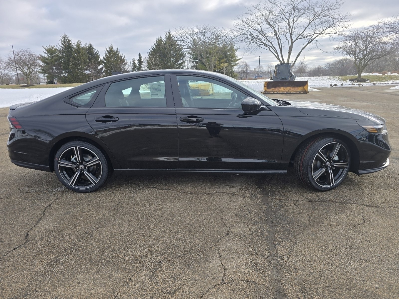 New 2026 Honda Accord Sport image 18